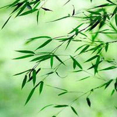 锄禾online手机版下载