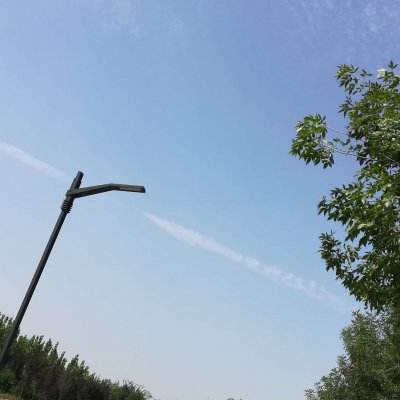 日向恋中文版